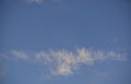 Wispy horse feather cloud shelf in blue sky Royalty Free Stock Photo