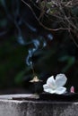 Wispy white smoke arising from incense stick on a metal stand in soft focus, with white hibiscus flower and dark background Royalty Free Stock Photo