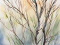 Wispy Willow Branches in Watercolor Royalty Free Stock Photo