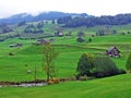 The Wiss Thur stream in the Stein settlement and the Obertoggenburg region Royalty Free Stock Photo