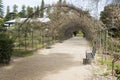 Wisteria Arbor Off Season