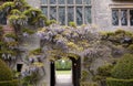 Wisteria Royalty Free Stock Photo