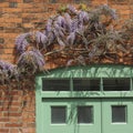 Brick house with Wisteria door Royalty Free Stock Photo