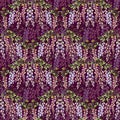 Wisteria flowers seamless pattern on claret background, watercolor illustration Royalty Free Stock Photo