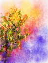 Wisteria flowers watercolor painting Royalty Free Stock Photo