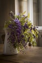 Wisteria inside a jug on a wooden table Royalty Free Stock Photo