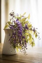 Wisteria inside a jug on a wooden table Royalty Free Stock Photo