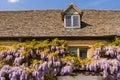 Wisteria on old country house Royalty Free Stock Photo