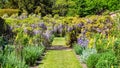 Wisteria Tunnel, Hampton Court Castle, Herefordshire, England. Royalty Free Stock Photo