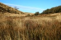 Wistman`s Wood Dartmoor England