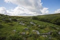 Environment of Wistman`s Wood - an ancient landscape on Dartmoor, Devon, England Royalty Free Stock Photo