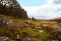 Wistmans Wood Driuds Wood on Dartmoor. Devon Royalty Free Stock Photo