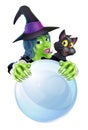 Witch black cat and crystal ball