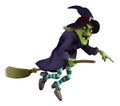 Witch on a broom Royalty Free Stock Photo