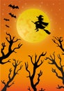 Witch on the broom flying in front of the full moon Royalty Free Stock Photo
