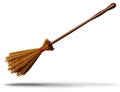 Witch Broom Object