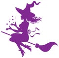 Witch on a broomstick