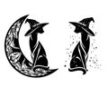 Witch cat, crescent moon and stars black and white vector design set