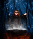 Witch with cauldron at night forest Royalty Free Stock Photo