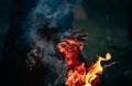 a witch conjures over the flames of a campfire Royalty Free Stock Photo