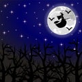 Witch flying on a broom on a full moon in the forest Royalty Free Stock Photo