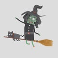 A witch flying on her broomstick.3D