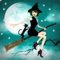 Witch Flying With Her Cat Illustration Royalty Free Stock Photo