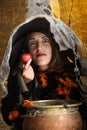 Witch giving a poisened apple Royalty Free Stock Photo