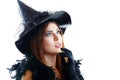 Witch halloween Royalty Free Stock Photo