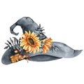 Witch hat with a bouquet of flowers of sunflower, thorns, twigs. Hand drawn watercolor illustration close up isolated on