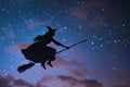 Witch in hat flies on broomstick against starry sky at night Royalty Free Stock Photo