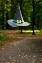 Witch hat is floating in the air on a fall forest background Royalty Free Stock Photo