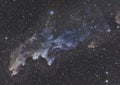 Witch Head Nebula IC 2118 Royalty Free Stock Photo