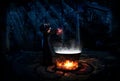 Witch in night forest version full Royalty Free Stock Photo