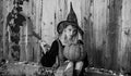 Blonde girl is preparing to carving a pumpkin. Witch posing with Pumpkin on wood background. Happy gothic young woman in