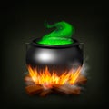 Witch Pot On Fire Royalty Free Stock Photo