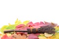 Witch`s magic broom on fallen autumn leaves