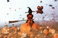 Witch sitting on pumpkin