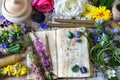 Witch spell book, calendula, rose flowers, reiki crystals and candles on wooden table Royalty Free Stock Photo