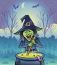 Wicked Witch Stirring Cauldron With Bats Hovering