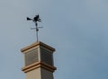 Witch weather vane