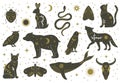 Witchcraft magic mystical boho doodle animals and insects. Magical cat, fox, wolf, owl, whale decorated with moon, stars