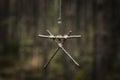 Witchcraft sticks symbol. Magic occult symbol. Totem hanging on tree in dark forest.