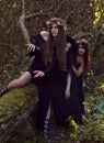 Witches in dark forest