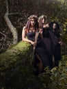 Witches in dark forest