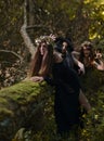 Witches in dark forest