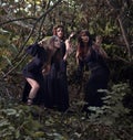 Witches in dark forest