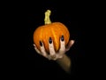 Witches knotty fingers with black sharp glossy nails hold a small pumpkin, low key, selected focus.