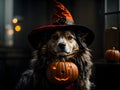 Witchy Woofs: Halloween Dog in Bewitching Delight