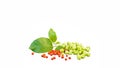 Aswagandha green leaves with green and red fruits over white background. Withania somnifera plant. Studio shot Royalty Free Stock Photo